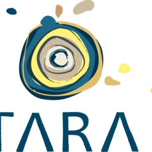 TARA verdieping, 10 februari 2027